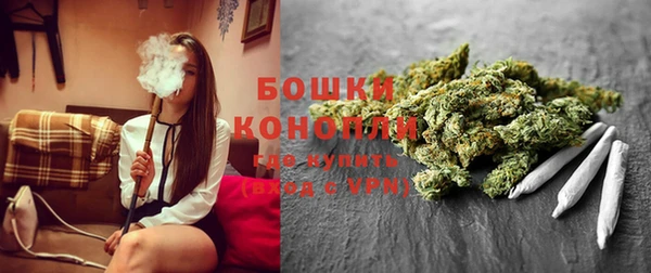 дживик Магас