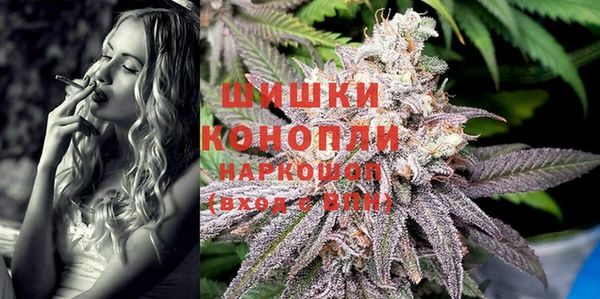 дживик Магас